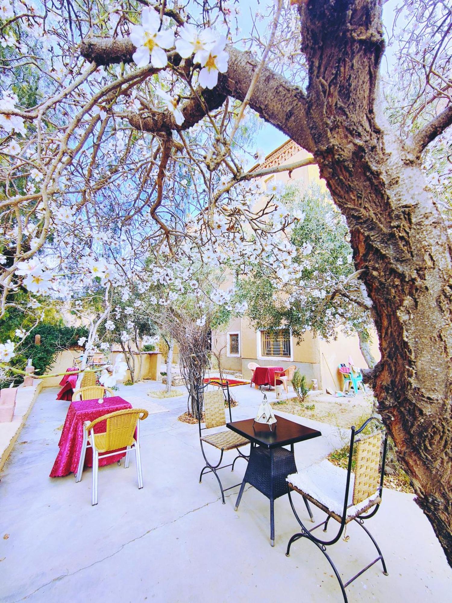 Riad Kasbah Des Roches Akhendachou n'Ait Ouffi Exterior foto